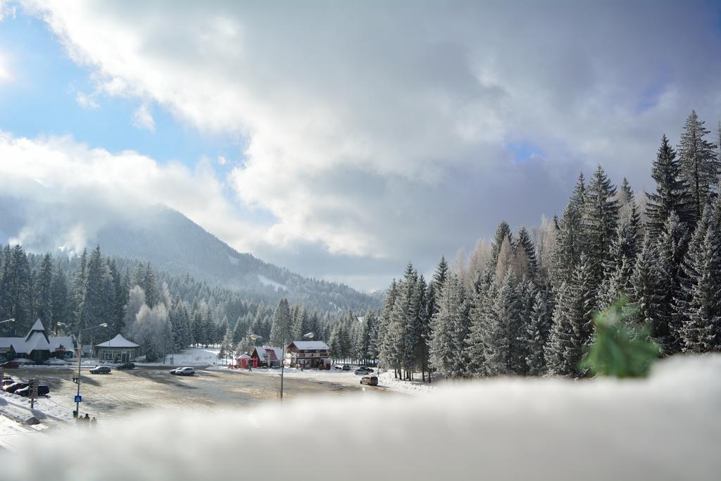 Casa Vlasin Poiana Brasov Bagian luar foto